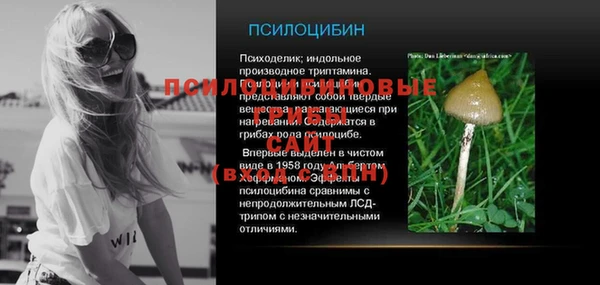 тгк Михайлов