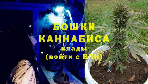 прущие грибы Михайловка
