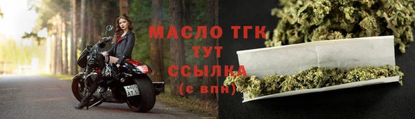 тгк Михайлов