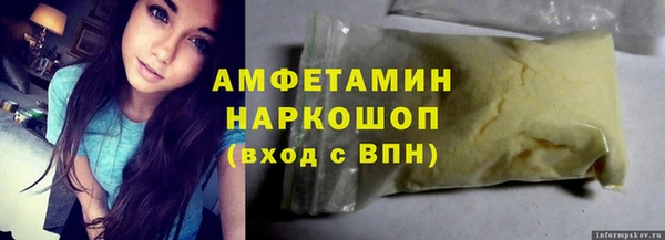 шишки Белая Холуница