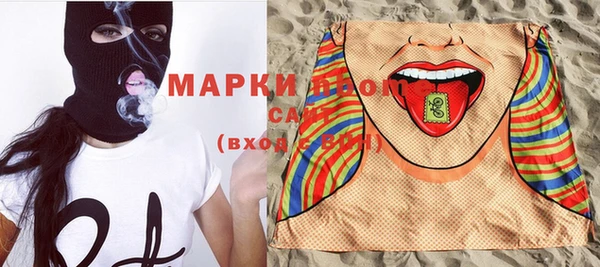 прущие грибы Михайловка