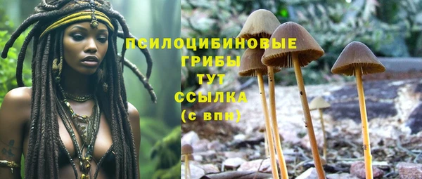 прущие грибы Михайловка