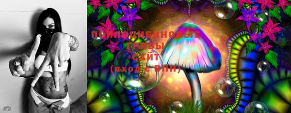 ПСИЛОЦИБИНОВЫЕ ГРИБЫ Бугульма