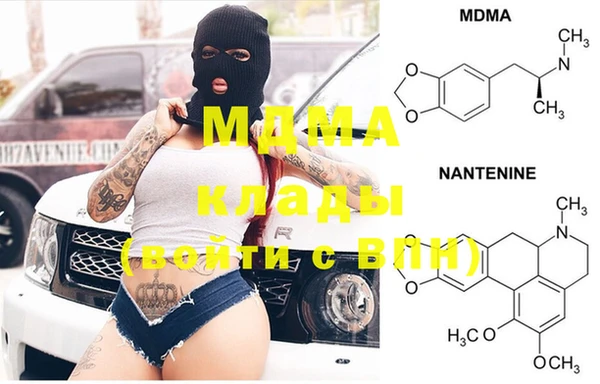прущие грибы Михайловка
