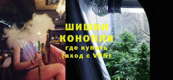 шишки Белая Холуница