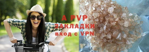 прущие грибы Михайловка