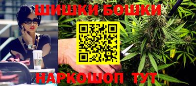 гидропоника Бийск