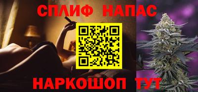 амф Гатчина