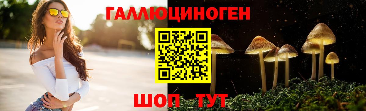 где купить наркоту  Вход с VPN  Гагарин  Псилоцибиновые грибы прущие грибы 